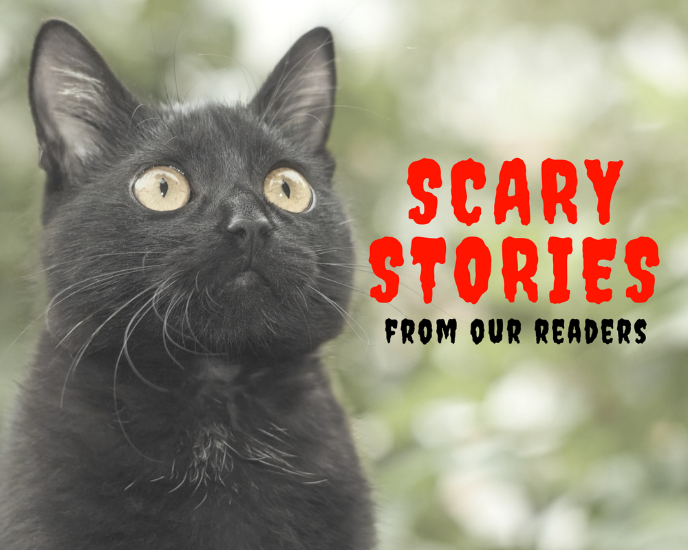 What are some examples of Scary x Scaredy cat? - #193647651 added by  Viceroy at Tropes n' stuff