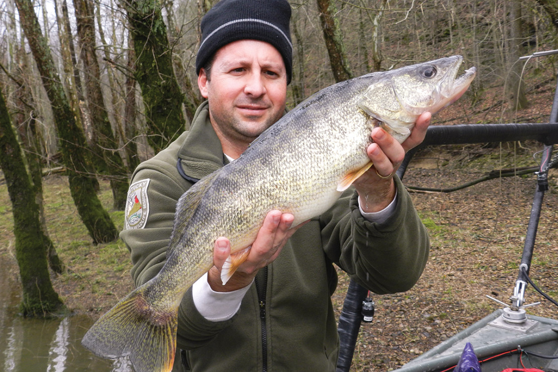 Kentucky Afield Outdoors: February the month to catch walleye and