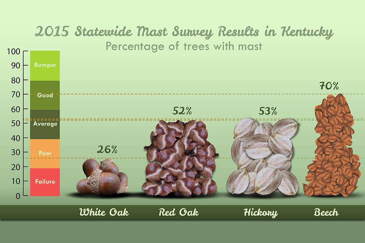 mast survey results 2015