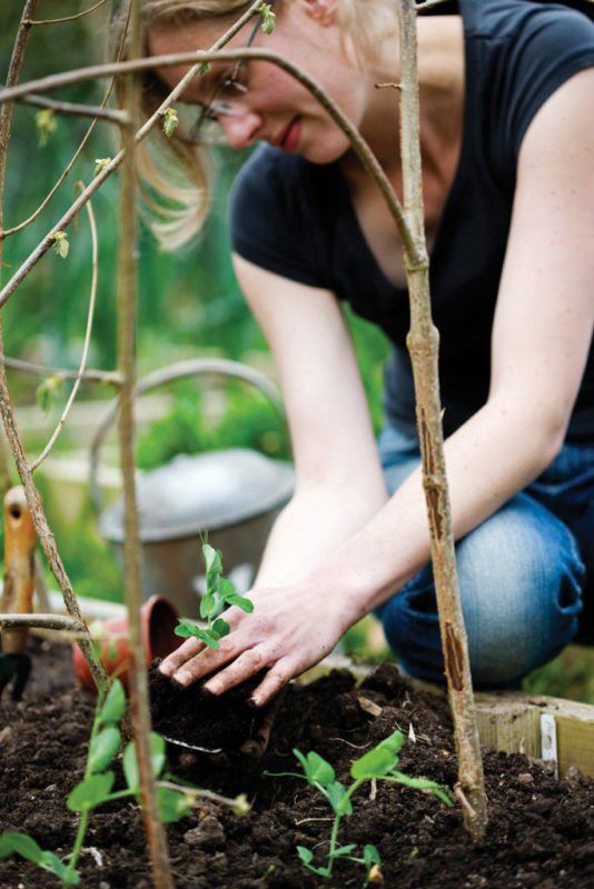 Smart Gardens & Landscapes: Organic Gardening