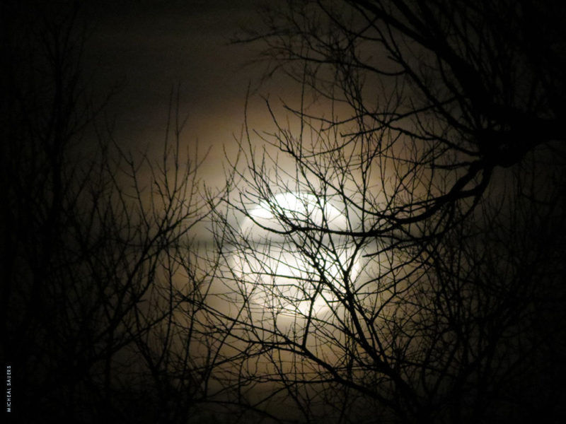 Full “Frog” Moon Hike
