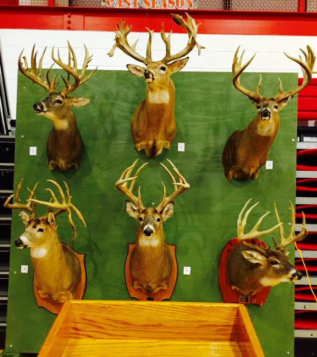 South Central Ky Outdoor Expo