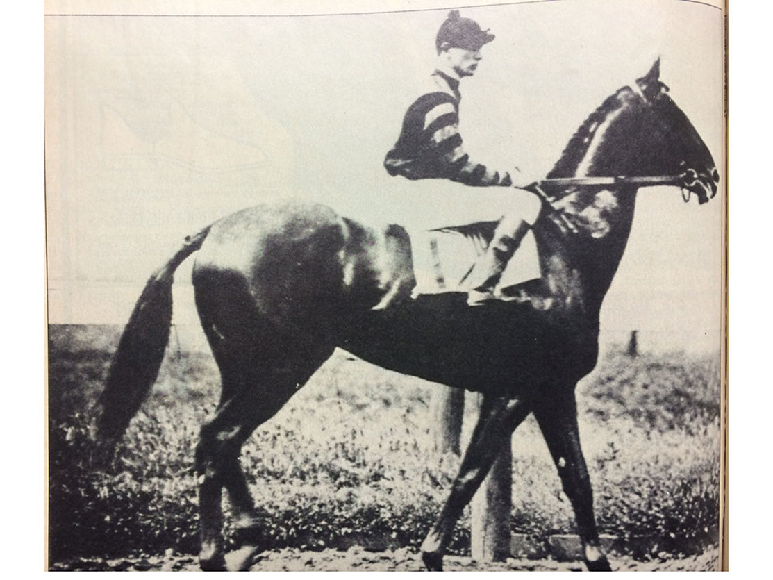 Man o' War, the Greatest Name in Thoroughbred Racing - Kentucky Living