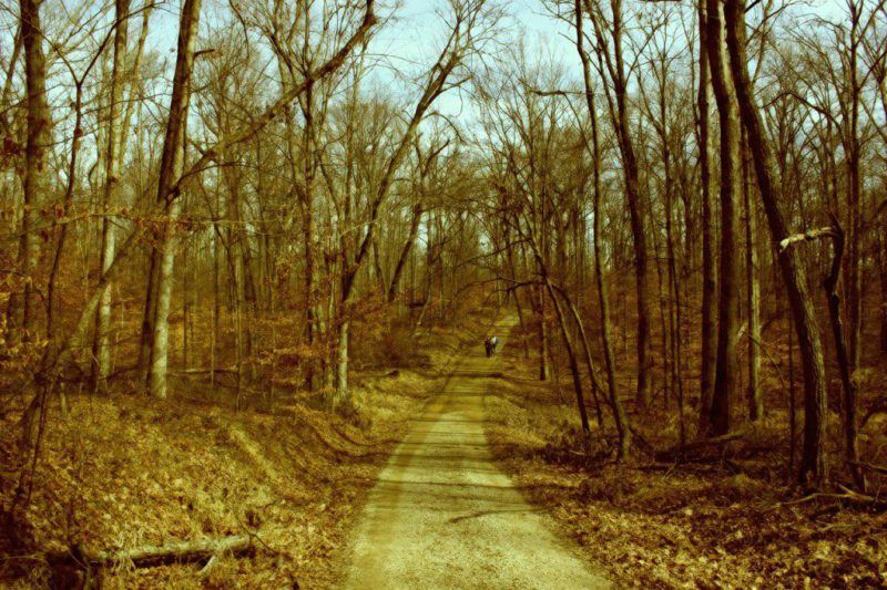 Hike & Write Series with Bobbi Buchanan