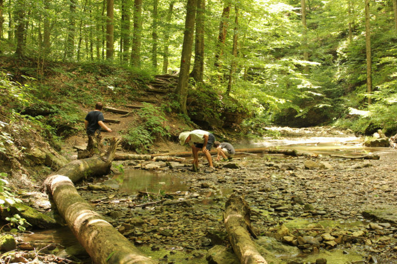 Lunch & Learn: Rock Run Ramble