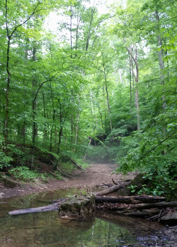 Nature as Muse: Writing Workshop and Discussion