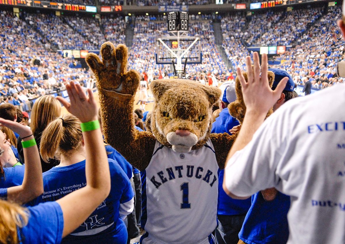 The University of Kentucky’s Wildcat