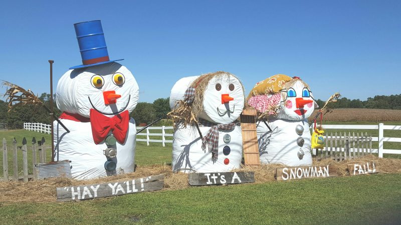 Bale Trail Across Todd County Kentucky Living
