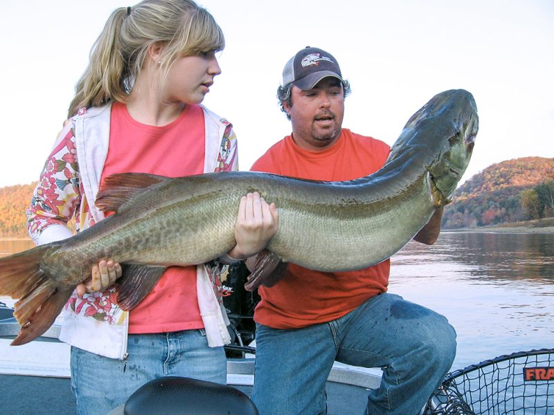 Lake cumberland striped bass heating up - Kentucky Department of Fish &  Wildlife