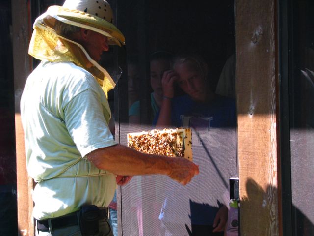Honeybee Hive Installation