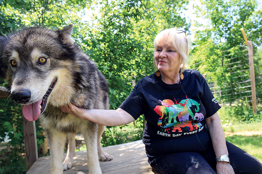 Sanctuary for wolfdogs - Kentucky Living