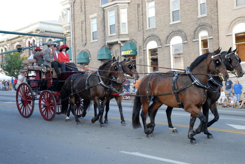 Festival of the Horse