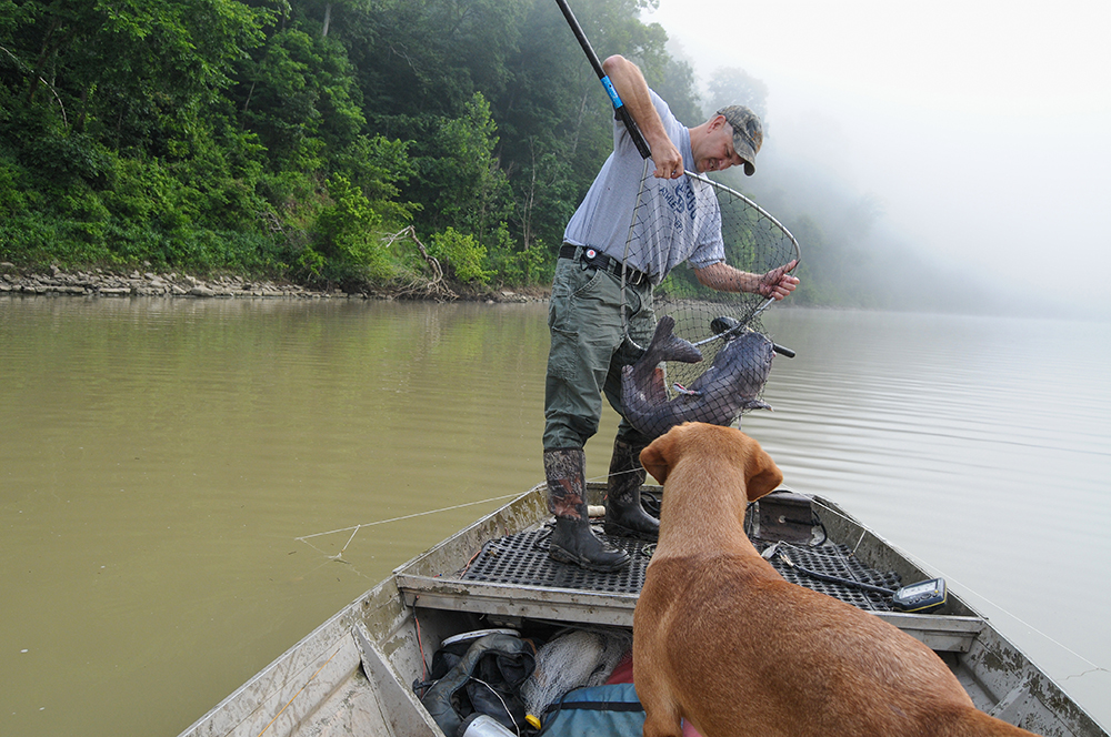 Catfishing Guide on Kentucky Lake