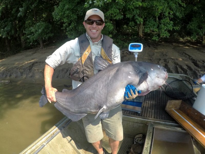 Kentucky Fish and Wildlife Commission new catfish, pay lake