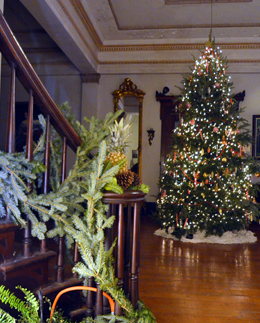 Home for the Holidays: Deck the Halls