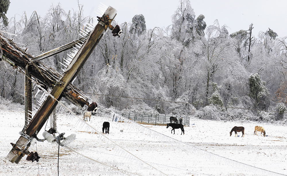 Frozen State 2009 Ice Storm Kentucky Living