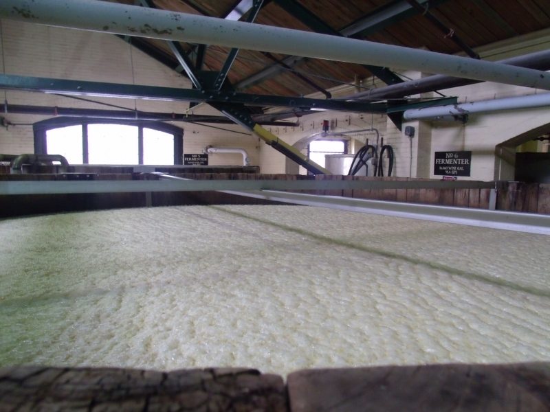 Kentucky Crafted: Bluegrass