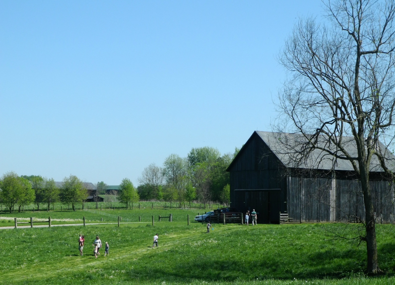 Regenerative Farming Tour: The Spring Awakening of Elmwood Stock Farm