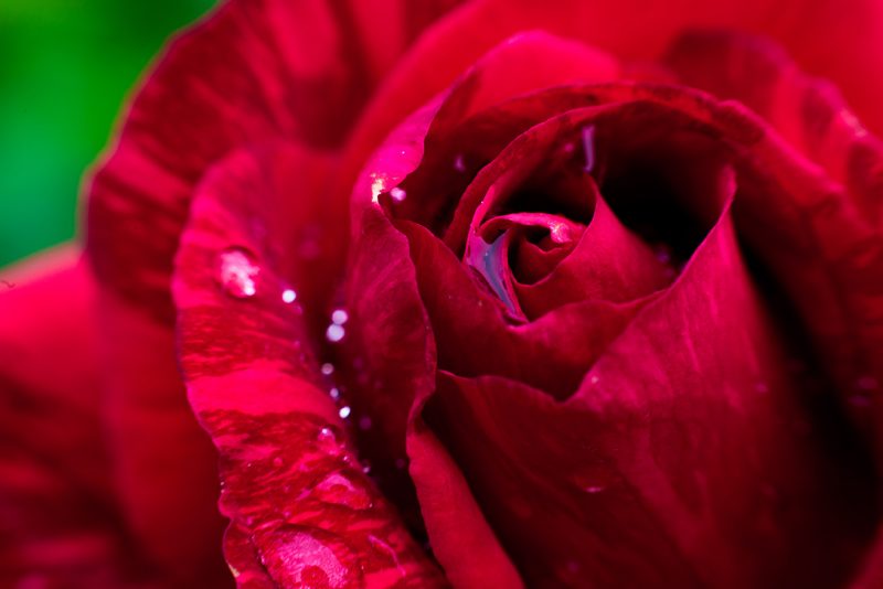 Musique Romantique