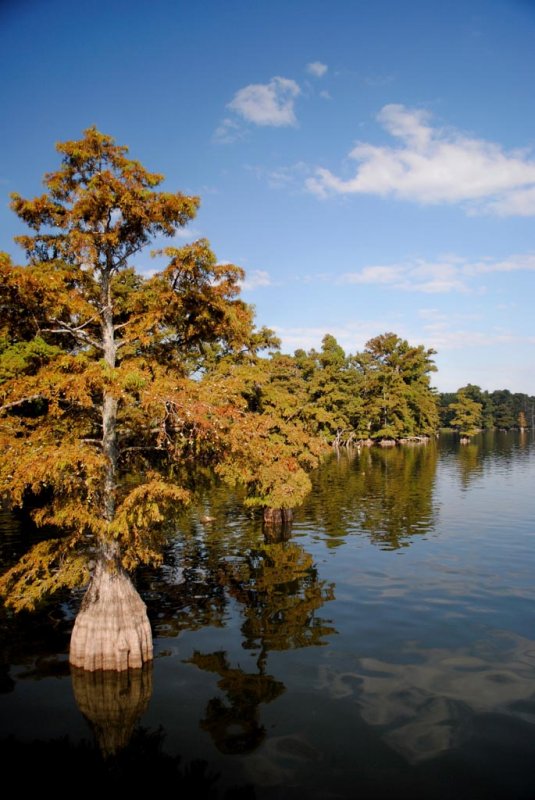 Kentucky’s wild wetlands Kentucky Living