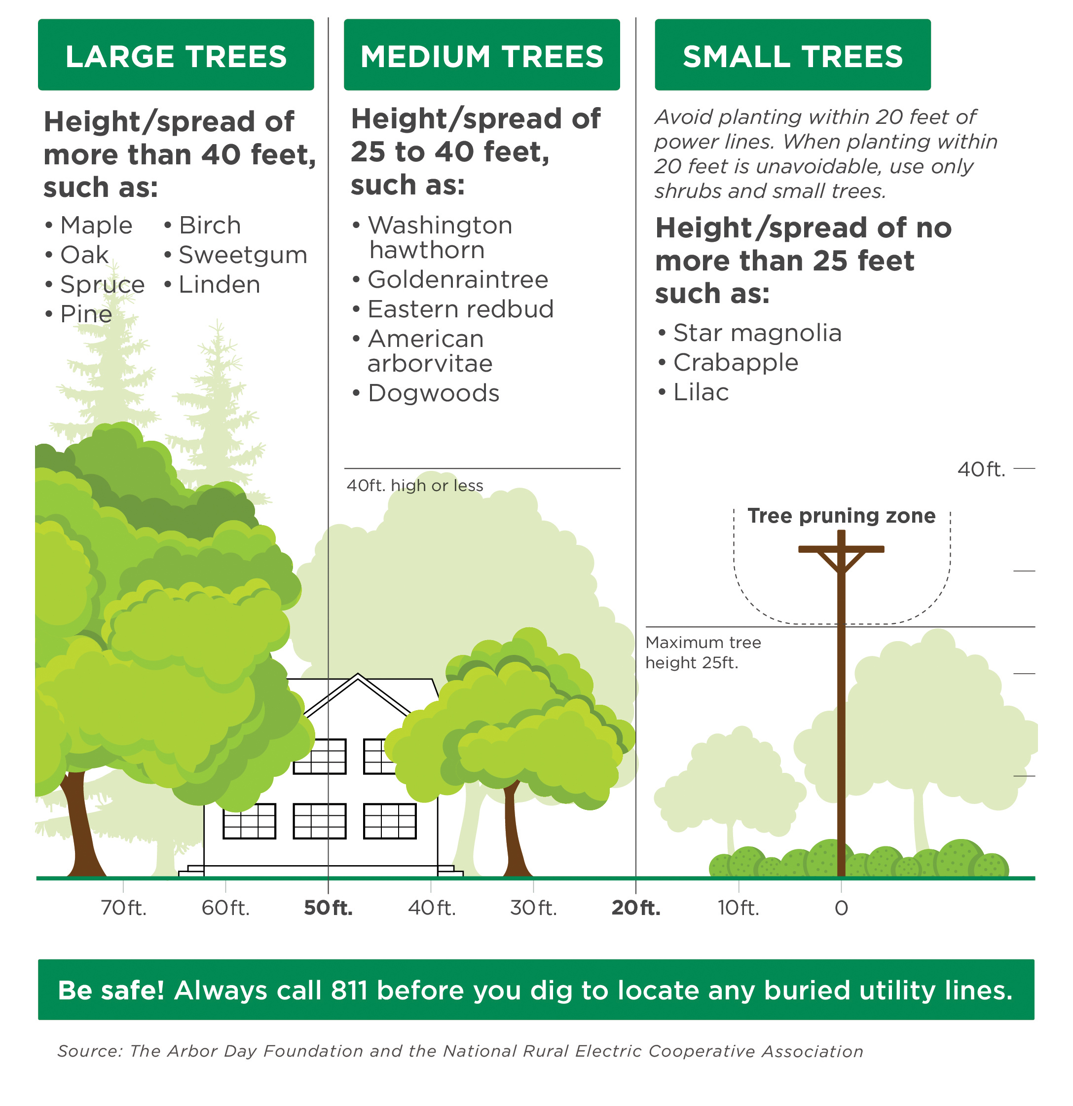 Before you plant that tree… Kentucky Living
