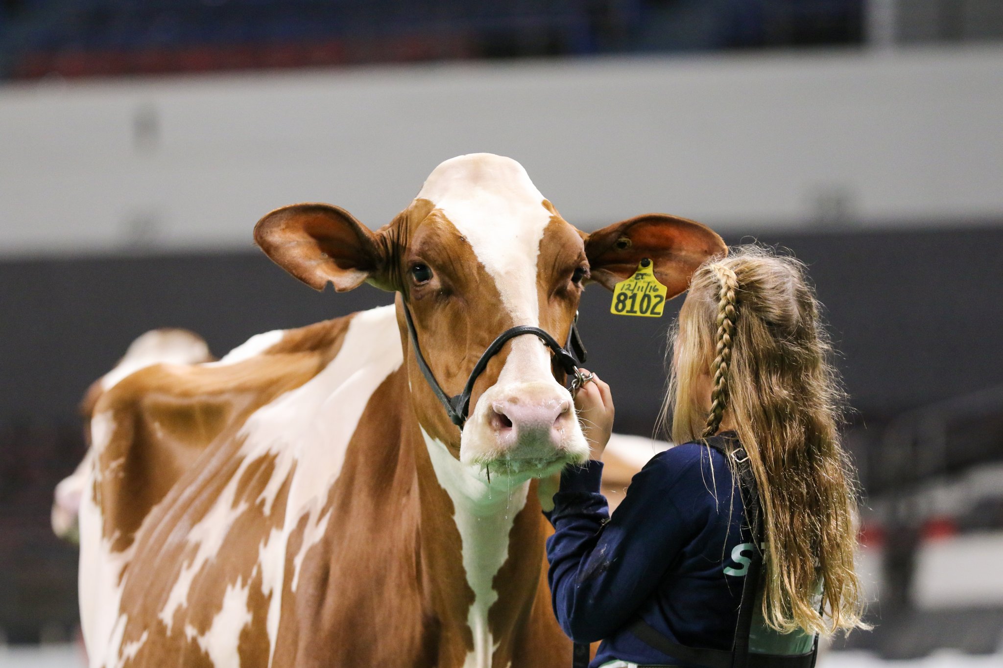 North American International Livestock Exposition Returns to Louisville