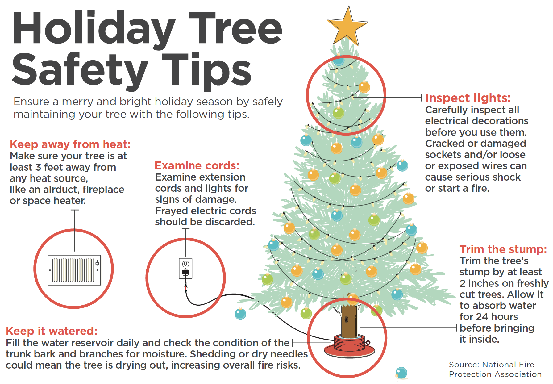 Health and Safety Risks of Cutting Trees