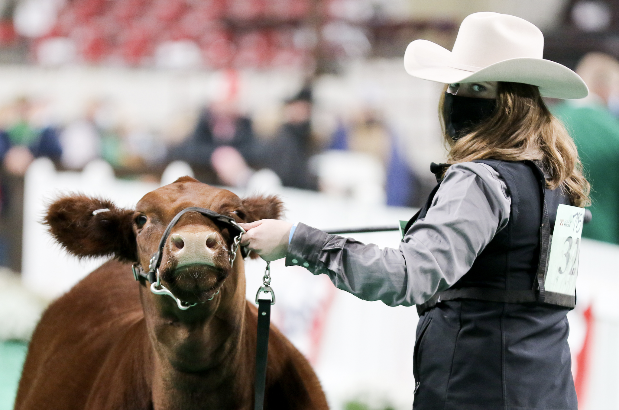 North American International Livestock Exposition Completes Successful