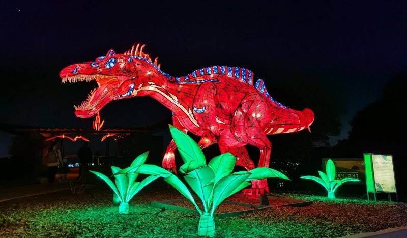 Wild Lights at the Louisville Zoo