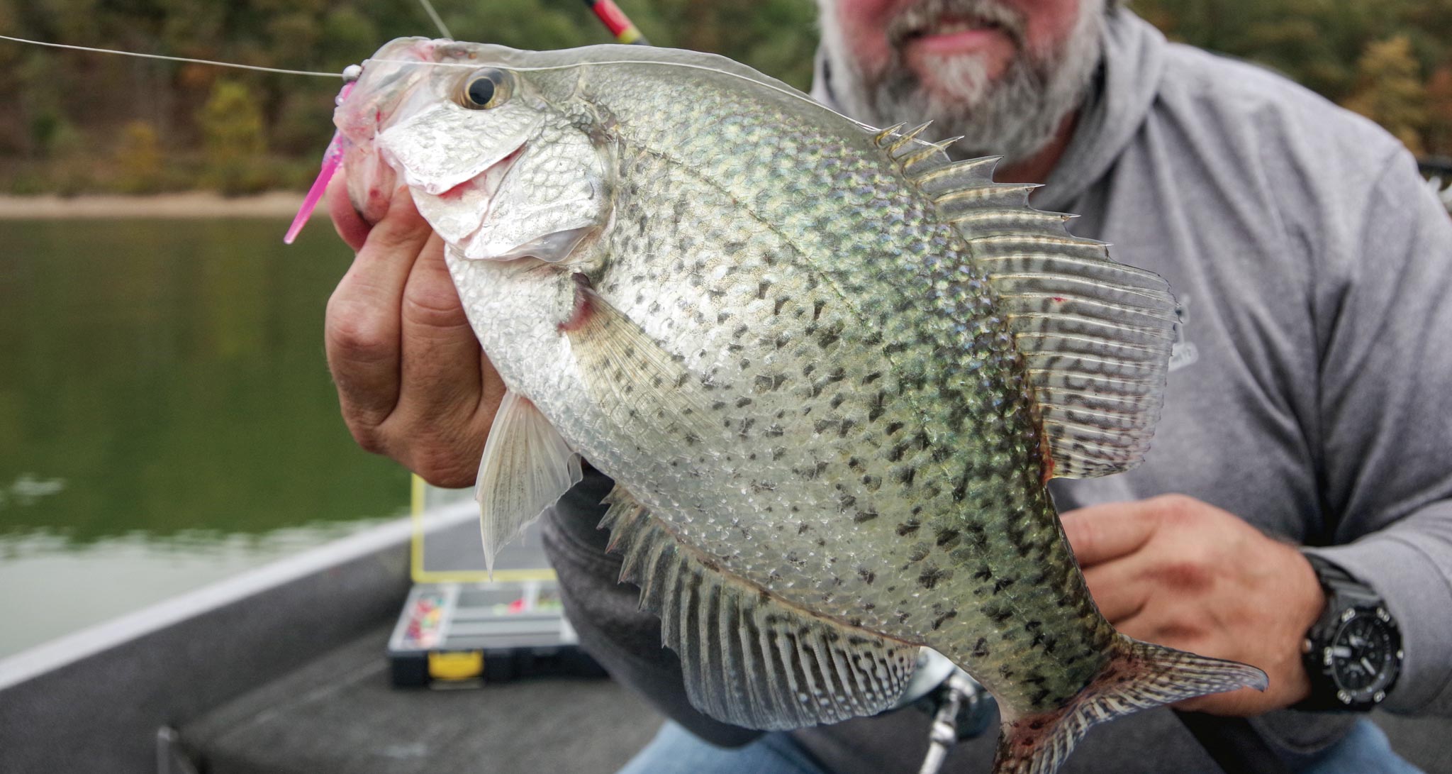 Crappie Fishing -  UK