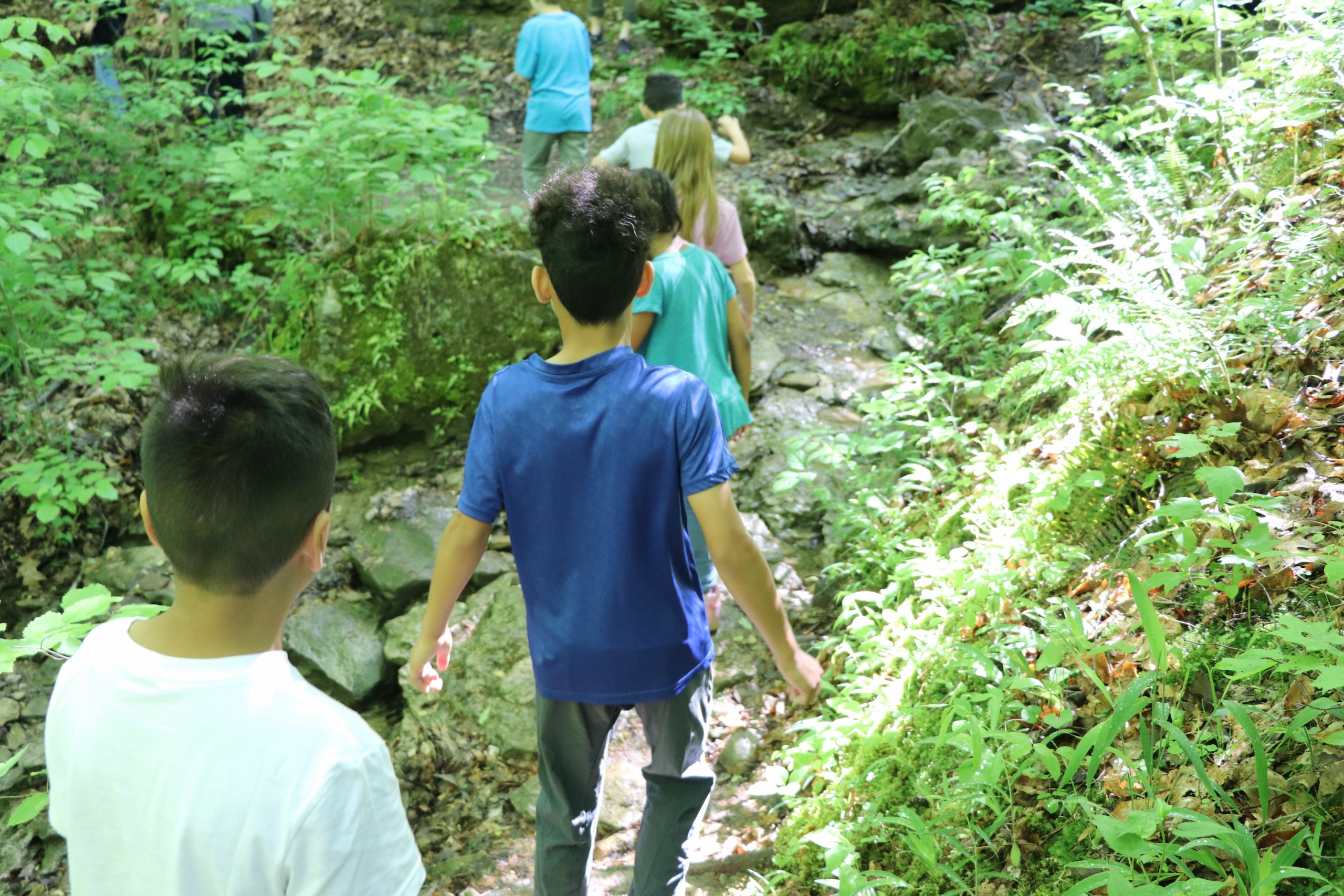 Bernheim Forest To Hold First Time Summer Camp Kentucky Living
