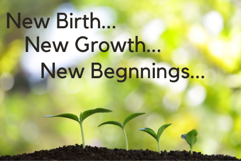 New Birth…New Growth…New Beginnings