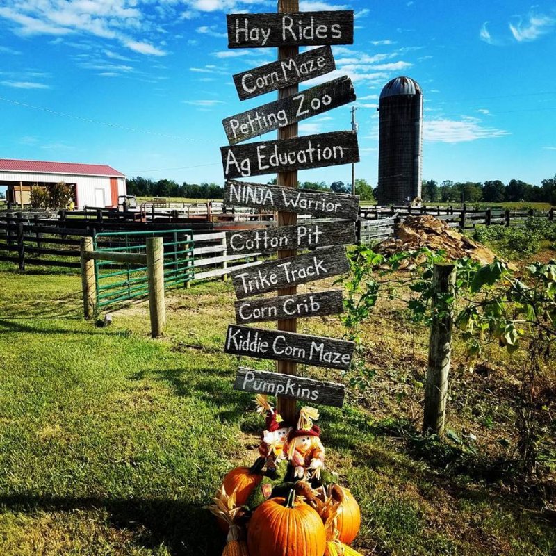 Buckmeadow Farm Fest, Sept. 25-Oct. 30