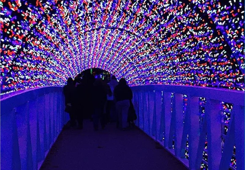 Country Christmas at Bear Wallow Farm