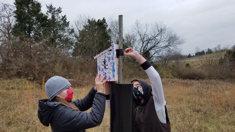 First Sunday Nature Tour: Bluebird Trail