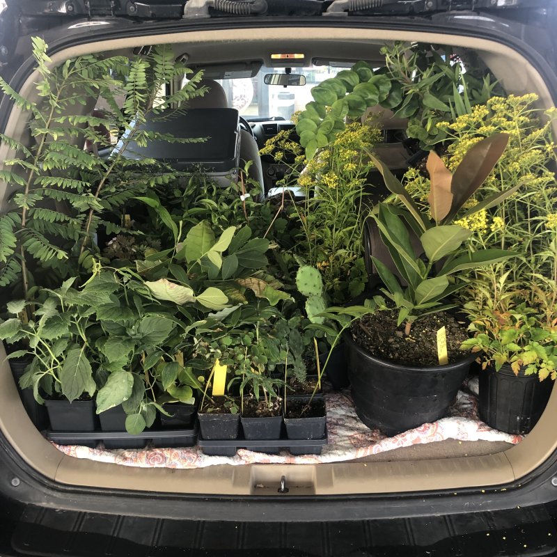 Selecting Plants for the Home Landscape – In-Person Workshop