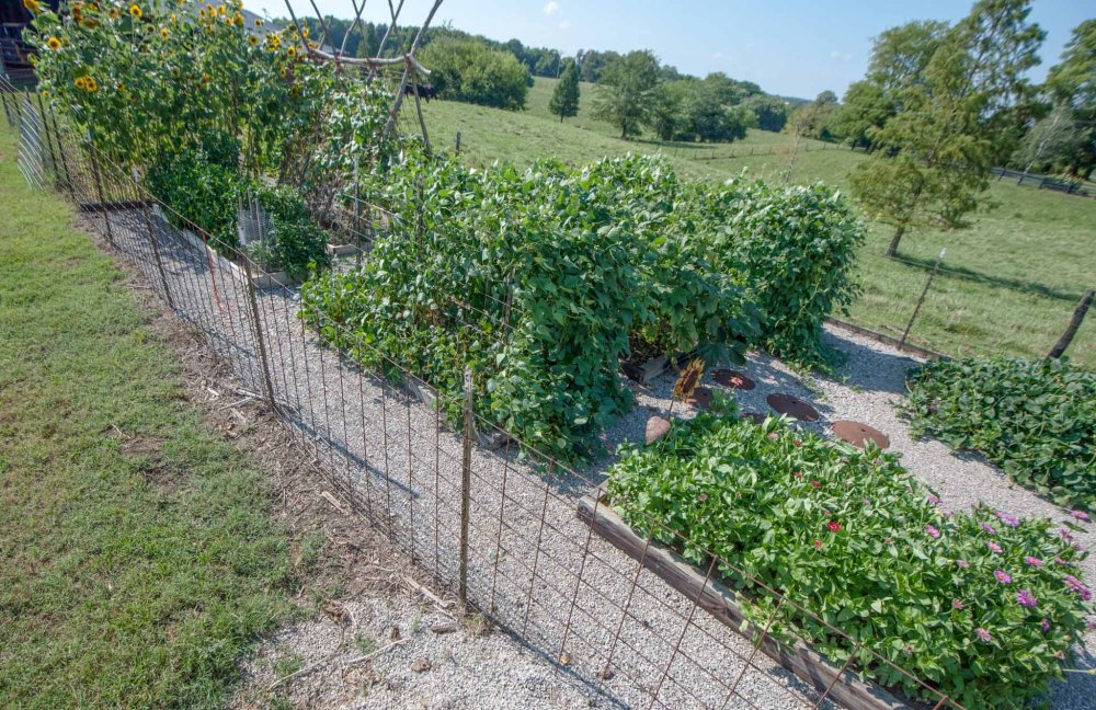 raised garden beds