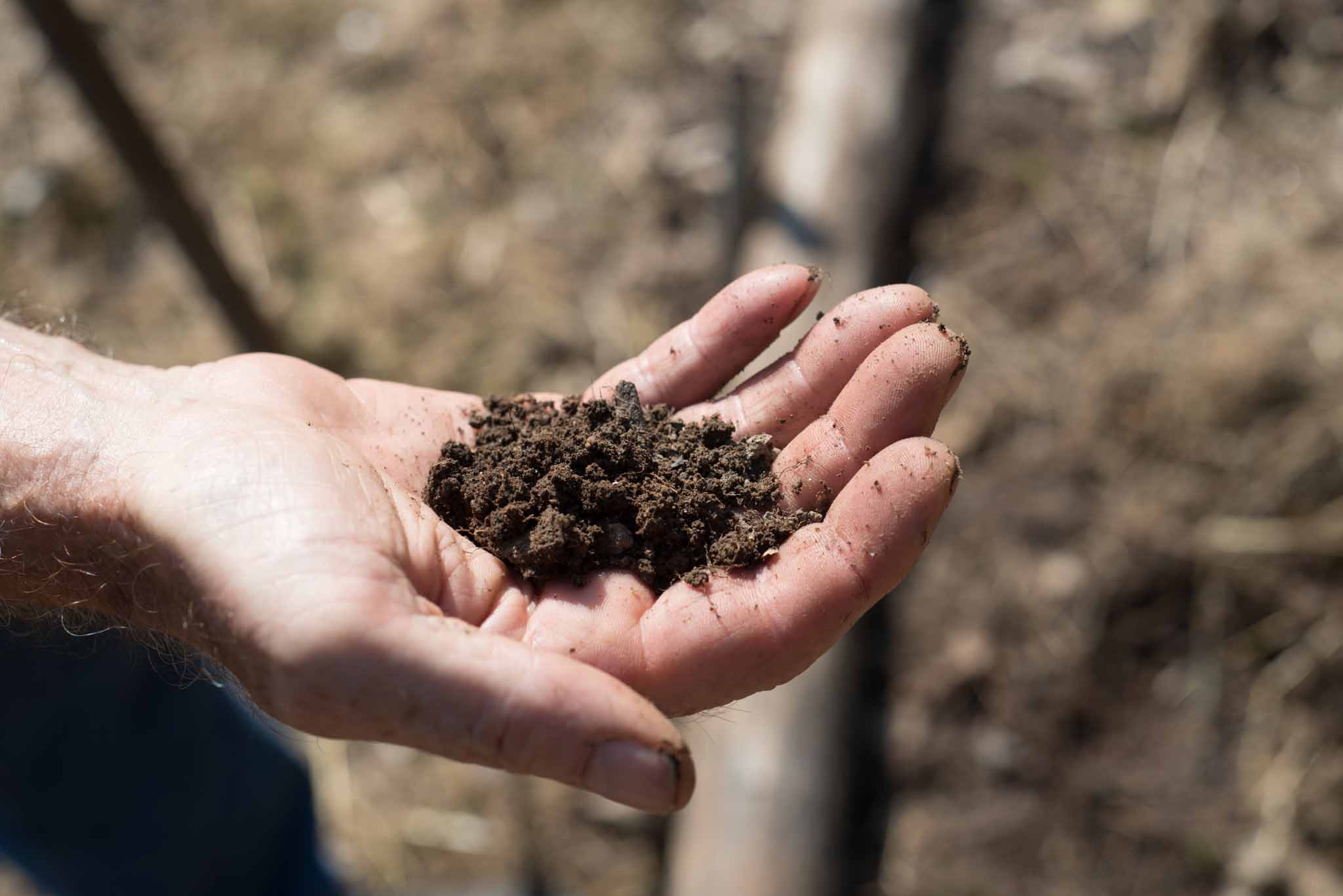 hand holding compost