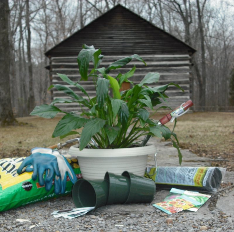 Plant & Seed Swap