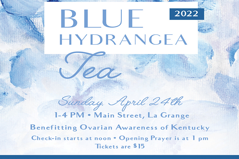 Blue Hydrangea Tea