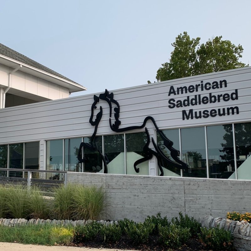 American Saddlebred Museum Family Day