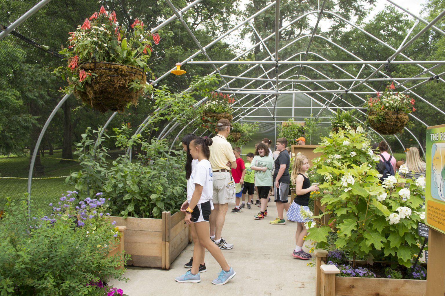 Louisville Zoo opens Butterflies n’ Blooms Kentucky Living