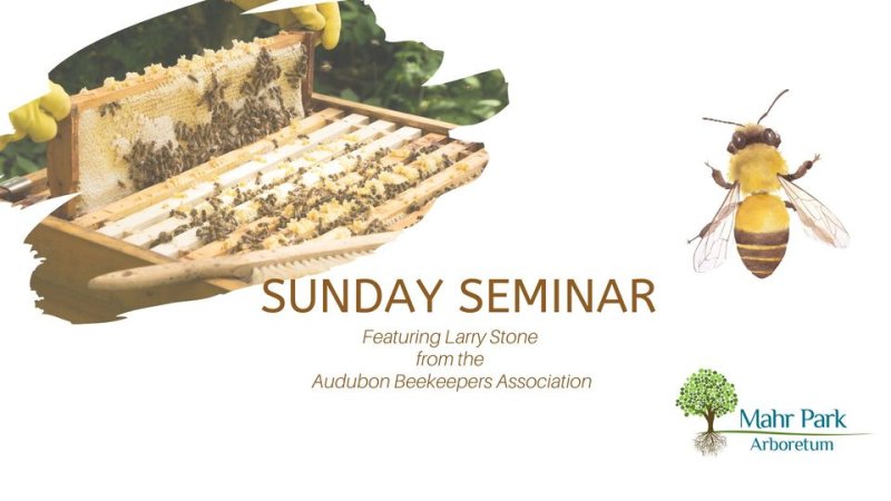 Sunday Seminar- The Buzz on Bees