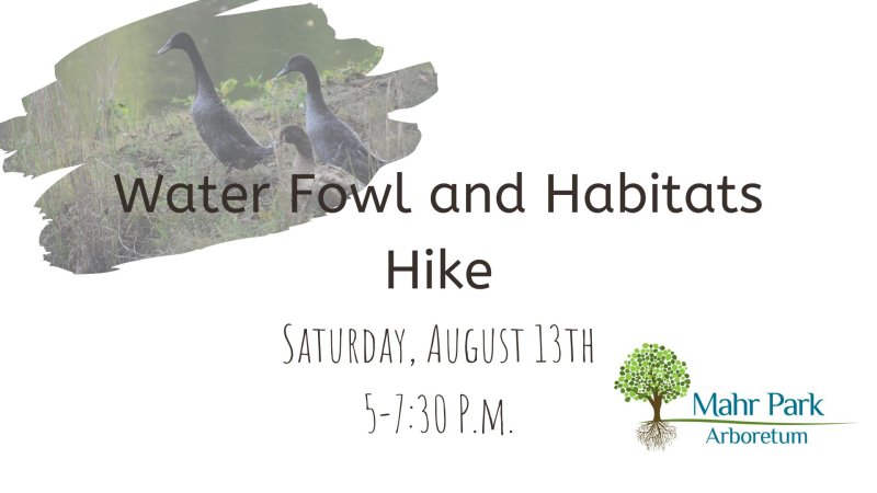 Water Fowl and Habitats Hike