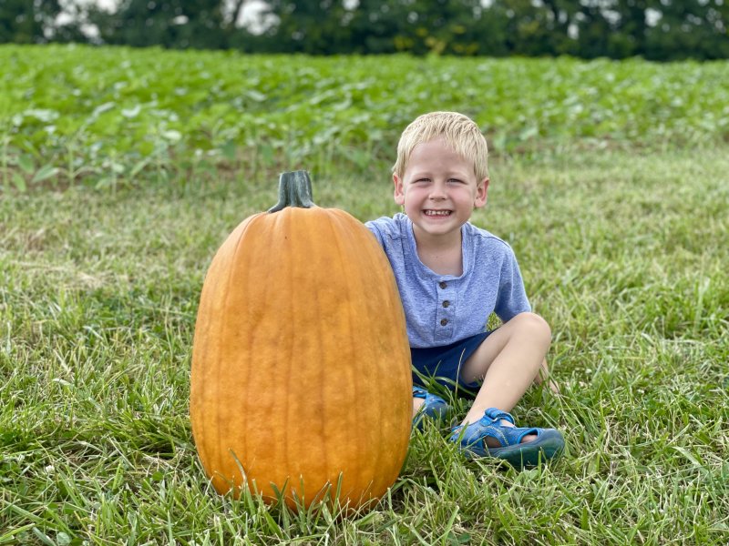 Fall Farm Fun 2022