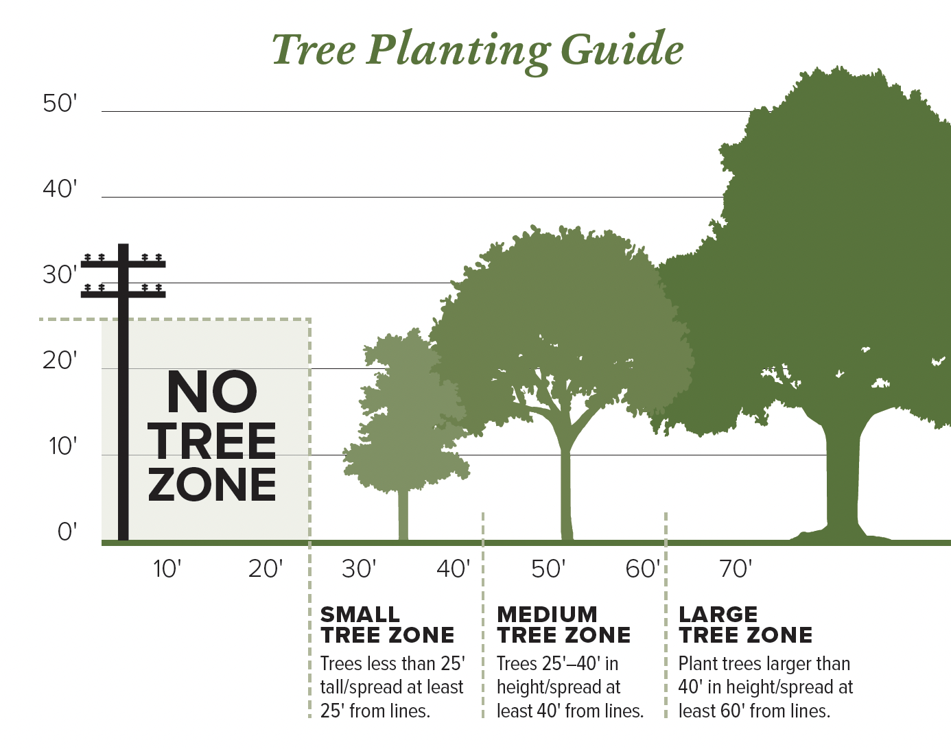 Fall is tree planting time - Kentucky Living