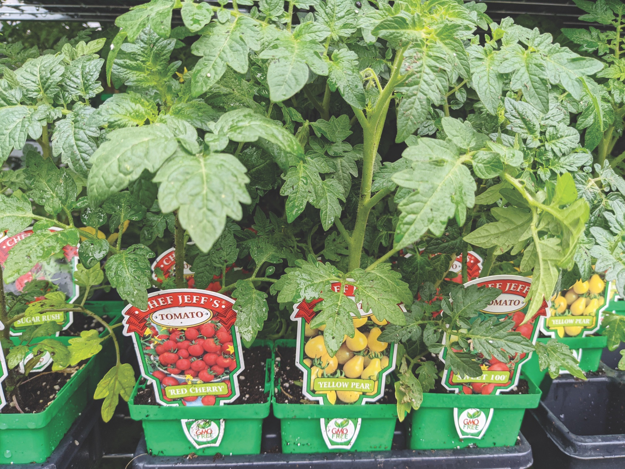 When to plant? Kentucky Living