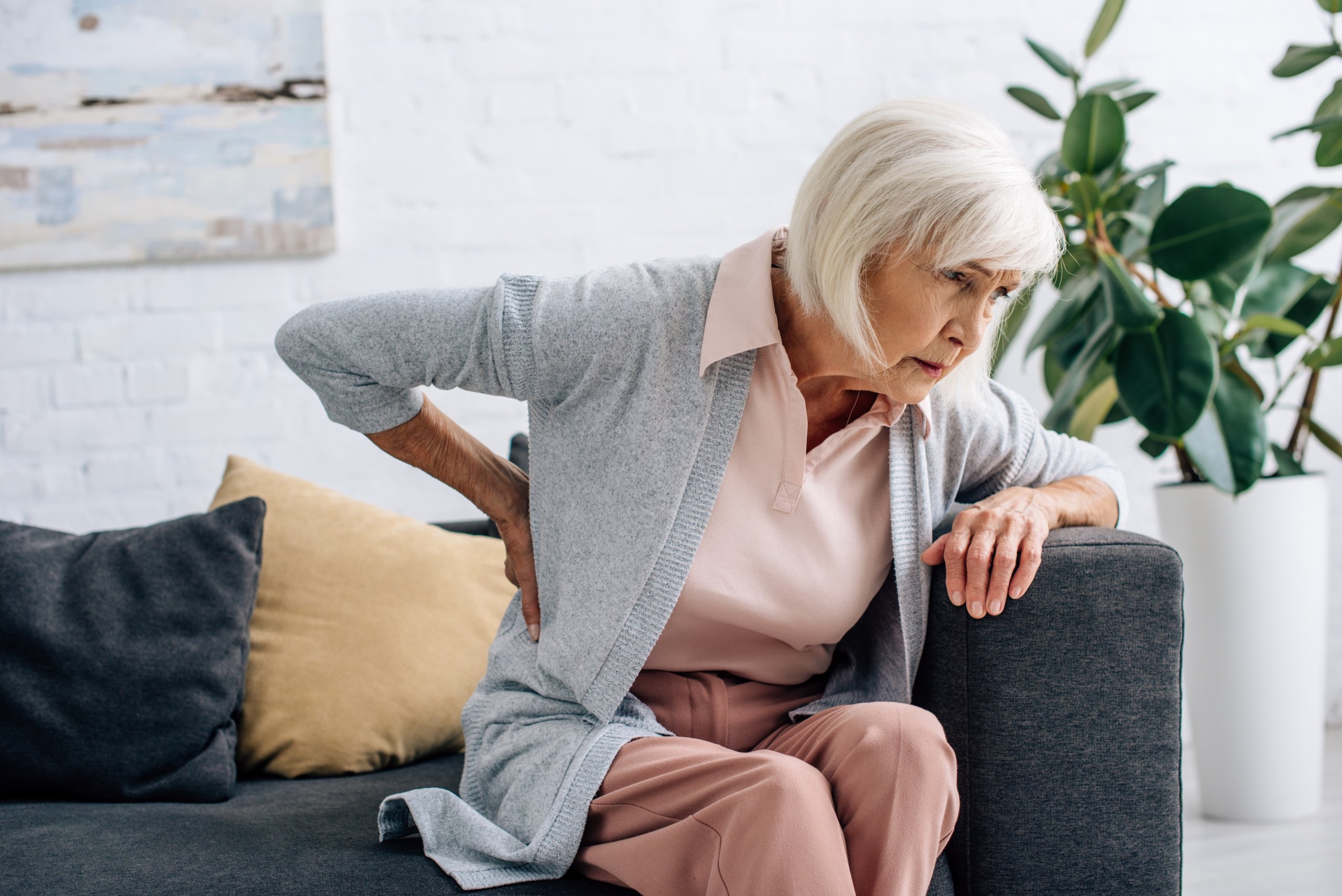 Persistent Pain Remains a Critical Quality-of-Life Crisis for Seniors